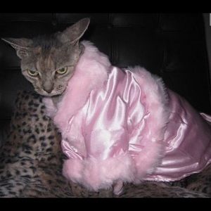 Meet your Posher, Emily